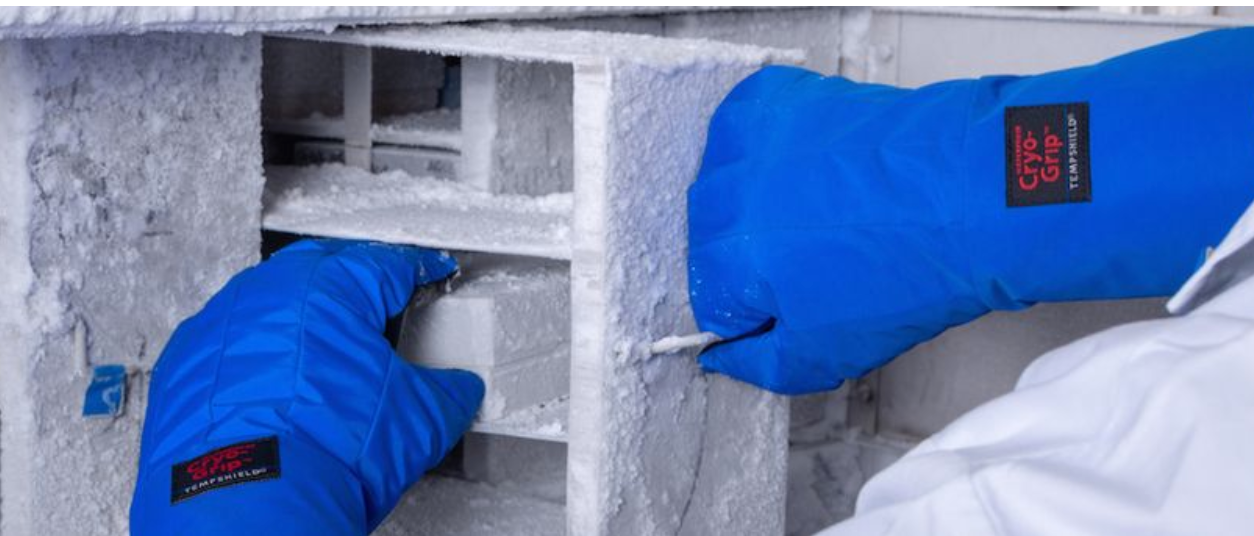 Why Tempshield Makes the Best Gloves for Handling Dry Ice Tempshield