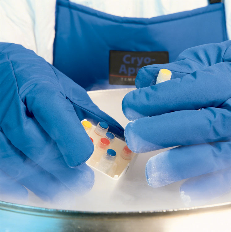 Cryo-Protection Gloves and Apron